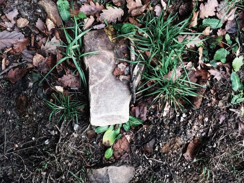 Wohnung in Leeds, Vereinigtes Königreich – BixBuz Anzeige (23)